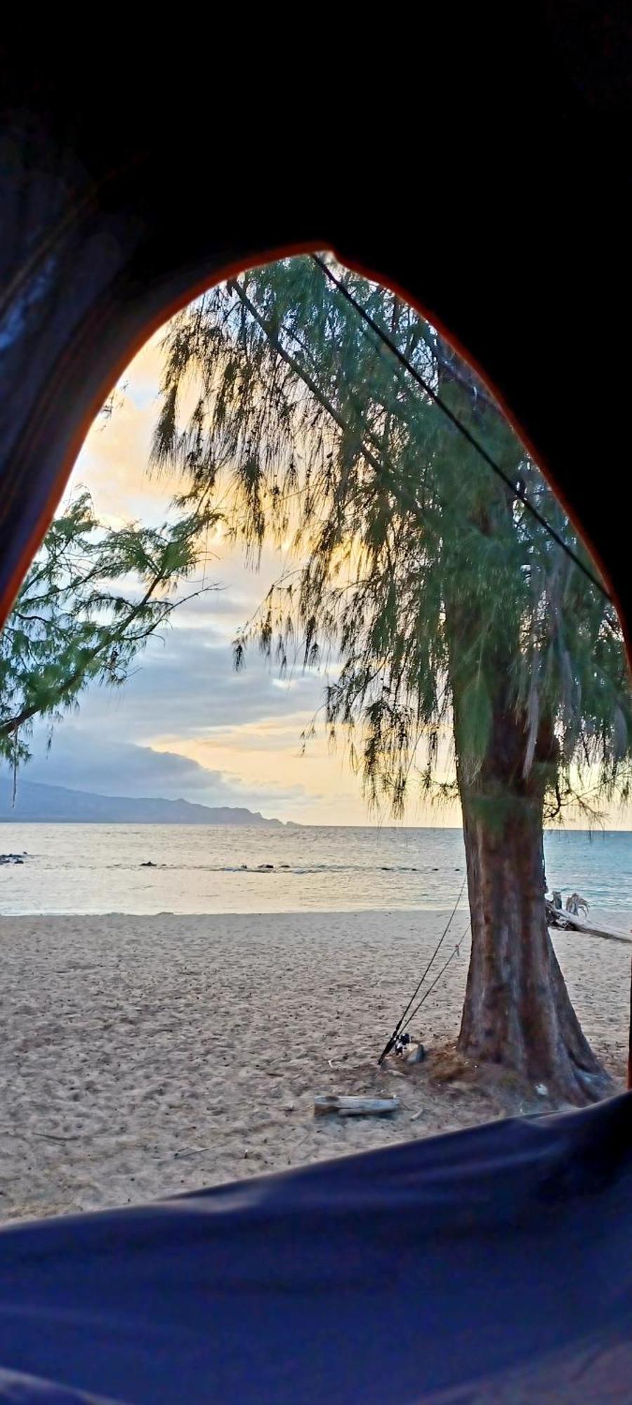 Campcar Maui Jeeps Suvs Hybrid Camper Van Rentals With Equipment And Travel Advice คาฮูลุย ภายนอก รูปภาพ